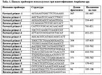 Способ диагностики анаплазмоза рогатого скота методом полимеразной цепной реакции Способ диагностики анаплазмоза рогатого скота методом полимеразной цепной реакции