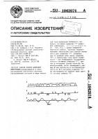 Способ записи цифровой информации Способ записи цифровой информации