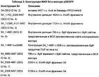 Экспрессионная система для повышения уровня экспрессии гена, молекула нуклеиновой кислоты, клетка, трансгенное животное и набор Экспрессионная система для повышения уровня экспрессии гена, молекула нуклеиновой кислоты, клетка, трансгенное животное и набор
