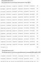 Рекомбинантная плазмида pag85a-cbd, штамм escherichia coli [prep4, pag85a-cbd], химерный белок ag85a-cbd и их применение