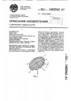 Зеркальный корректор атмосферных фазовых искажений волнового фронта Зеркальный корректор атмосферных фазовых искажений волнового фронта