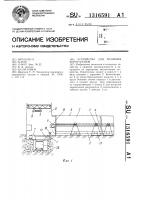 Устройство для хранения корнеплодов Устройство для хранения корнеплодов