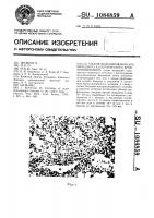 Способ моделирования хронического аллергического бронхопневмонита Способ моделирования хронического аллергического бронхопневмонита