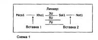 Антагонисты и способы их применения Антагонисты и способы их применения