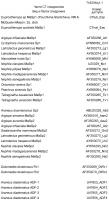 Структуры слитого белка шелка пауков для связывания с органической мишенью Структуры слитого белка шелка пауков для связывания с органической мишенью