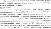 Производные пиридо-, пиразо- и пиримидо-пиримидина и их применение в качестве ингибиторов mtor Производные пиридо-, пиразо- и пиримидо-пиримидина и их применение в качестве ингибиторов mtor