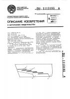 Фрикционное пластинчатое решето Фрикционное пластинчатое решето