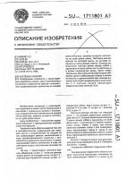 Застежка-молния Застежка-молния