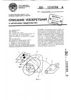 Способ отделения корнеклубнеплодов от комков земли и камней Способ отделения корнеклубнеплодов от комков земли и камней
