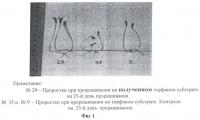 Способ получения торфяного субстрата для посадочного материала лесных культур Способ получения торфяного субстрата для посадочного материала лесных культур