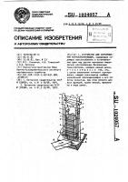 Устройство для сортирования корнеклубнеплодов Устройство для сортирования корнеклубнеплодов
