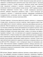 Способ повышения выхода семян растения, способ производства трансгенного растения, имеющего повышенную урожайность семян, генная конструкция для экспрессии в растении и трансгенное растение Способ повышения выхода семян растения, способ производства трансгенного растения, имеющего повышенную урожайность семян, генная конструкция для экспрессии в растении и трансгенное растение