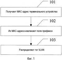Способ и устройство для распределения виртуальной локальной сети Способ и устройство для распределения виртуальной локальной сети