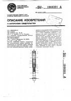 Лыжная палка Лыжная палка