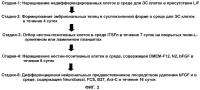 Получение гамкергических нейронов in vitro из эмбриональных стволовых клеток и их применение при лечении неврологических расстройств Получение гамкергических нейронов in vitro из эмбриональных стволовых клеток и их применение при лечении неврологических расстройств