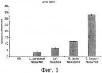 Bifidobacterium longum ncc 2705 (cncm 1-2618) и иммунные расстройства Bifidobacterium longum ncc 2705 (cncm 1-2618) и иммунные расстройства