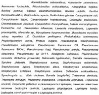 Обработанный нагреванием бактерин (варианты), способ получения такого бактерина (варианты) и вакцина, содержащая такой бактерин Обработанный нагреванием бактерин (варианты), способ получения такого бактерина (варианты) и вакцина, содержащая такой бактерин
