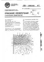 Биологическая застройка русел рек Биологическая застройка русел рек
