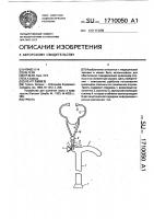 Трость Трость
