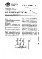 Устройство для сортировки рыбы Устройство для сортировки рыбы