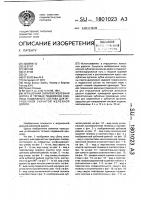 Игрушечная зубчатая железная дорога и тяговая подвижная единица подвижного состава для игрушечной зубчатой железной дороги Игрушечная зубчатая железная дорога и тяговая подвижная единица подвижного состава для игрушечной зубчатой железной дороги