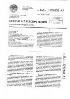 Пляжный зонт Пляжный зонт