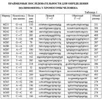 Способ, тест-система и праймеры для определения гаплогрупп y-хромосомы человека Способ, тест-система и праймеры для определения гаплогрупп y-хромосомы человека