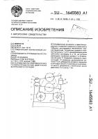 Устройство регулирования фаз газораспределения двигателя внутреннего сгорания Устройство регулирования фаз газораспределения двигателя внутреннего сгорания