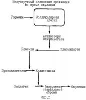 Синергичные композиции, содержащие аскорбат и лизин, для лечения состояний, связанных с деструкцией внеклеточного матрикса Синергичные композиции, содержащие аскорбат и лизин, для лечения состояний, связанных с деструкцией внеклеточного матрикса
