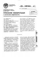 Способ моделирования двустороннего гнойного эндобронхита Способ моделирования двустороннего гнойного эндобронхита