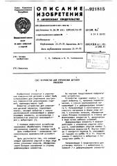 Устройство для упрочнения деталей наклепом (патент 921815)
