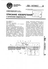 Кормовая оконечность лихтеровоза (патент 1070057)