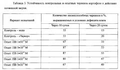 Способ размножения картофеля зелеными черенками, обладающими повышенной жизнеспособностью (патент 2584417)