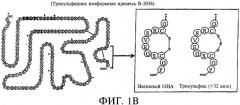 Способ получения рекомбинантного полипептида-антагониста соматотропного гормона со сниженным содержанием изоформных примесей (варианты) (патент 2337920)