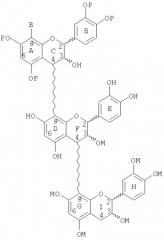 Способ получения синтетических процианидиновых олигомеров (патент 2281943)