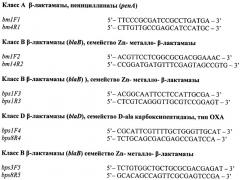 Олигонуклеотидные праймеры для детекции и типирования генов  -лактамаз патогенных буркхольдерий (патент 2474614)