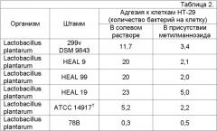 Композиция, обладающая противовоспалительными свойствами, штамм lactobacillus plantarum - продуцент танназы (варианты) и его применения (патент 2356942)