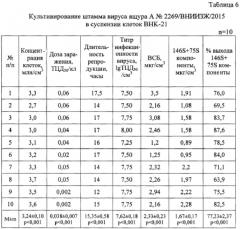 Штамм а n2269/вниизж/2015 вируса ящура aphtae epizooticae типа а для контроля антигенной и иммуногенной активности и для изготовления биопрепаратов для диагностики и специфической профилактики ящура типа а (патент 2640261)