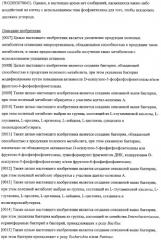 Использование фосфокетолазы для продукции полезных метаболитов (патент 2322496)