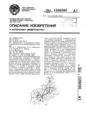 Грабли-ворошилка роторные (патент 1586594)