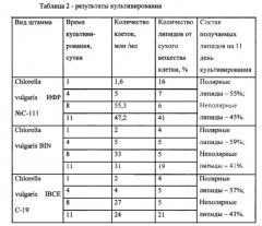 Способ культивирования биомассы с повышенным содержанием липидов (патент 2569149)