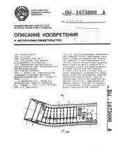 Способ возведения монолитно-прессованной крепи (патент 1075000)