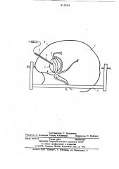 Способ лечения артериальной аневризмысосудов головного мозга (патент 812264)