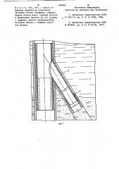 Устройство для крепления много-забойных скважин (патент 829882)