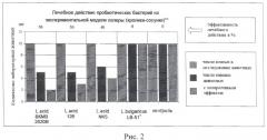 Способ оценки биологической активности лактобацилл и бифидобактерий относительно холерных вибрионов in vitro (патент 2487943)