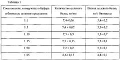 Способ получения рекомбинантного белка sav-rgd (патент 2577138)