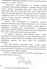 Производные пиперидина в качестве модуляторов хемокинового рецептора ccr5 (патент 2368608)