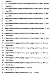 Рекомбинантная плазмидная днк pgem-puro-ds-apo, содержащая синтетический ген апоптина, фланкированный последовательностями генома вируса осповакцины из района c10l-c12l, и рекомбинантный штамм vvdgf-apos24/2 вируса осповакцины, продуцирующий апоптин (патент 2492238)