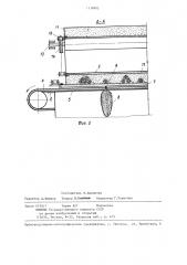 Устройство для отделения плодов от ботвы овощных культур (патент 1338802)