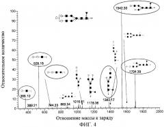 Содержащие галактоза-альфа-1,3-галактозу n-гликаны в гликопротеиновых продуктах, полученных из клеток сно (патент 2484142)